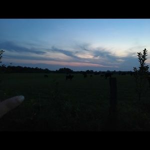 Meet your Posher, Madesen